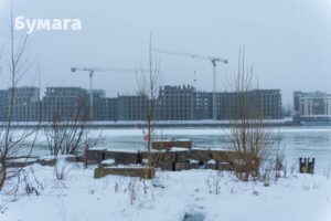 Защитники «Зарослей» сообщили о нарушениях во время обсуждения застройки парка